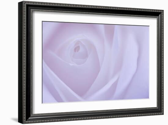 Soft Rose 6-Doug Chinnery-Framed Giclee Print