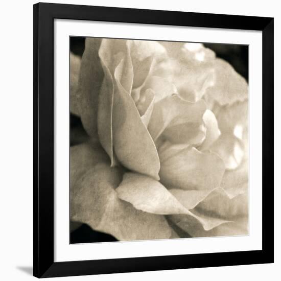 Soft Rose-Pete Kelly-Framed Giclee Print