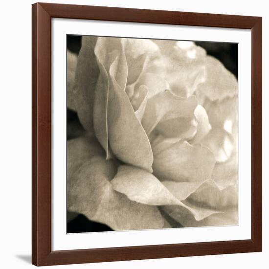 Soft Rose-Pete Kelly-Framed Giclee Print