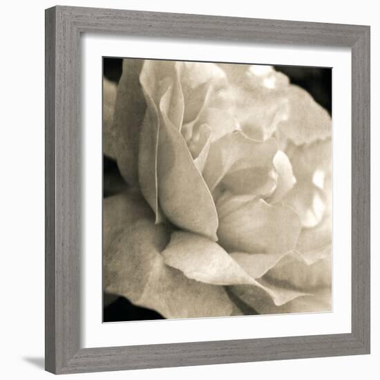 Soft Rose-Pete Kelly-Framed Giclee Print