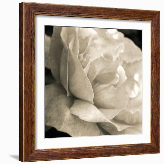 Soft Rose-Pete Kelly-Framed Giclee Print