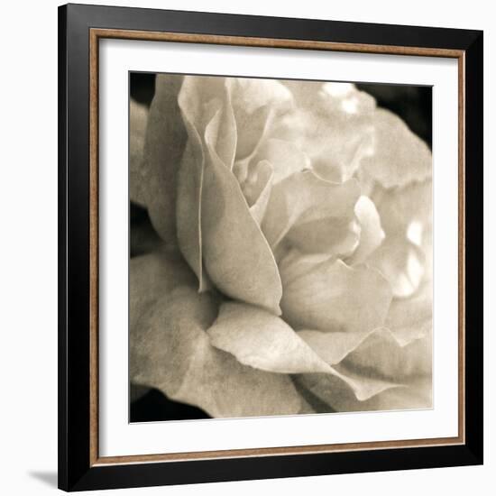 Soft Rose-Pete Kelly-Framed Giclee Print