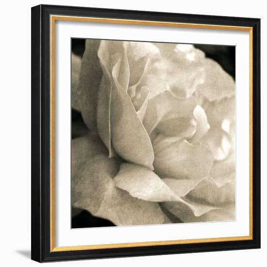 Soft Rose-Pete Kelly-Framed Giclee Print