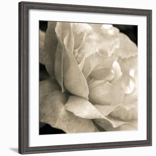 Soft Rose-Pete Kelly-Framed Giclee Print