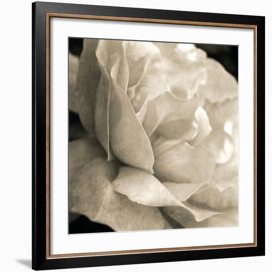 Soft Rose-Pete Kelly-Framed Giclee Print