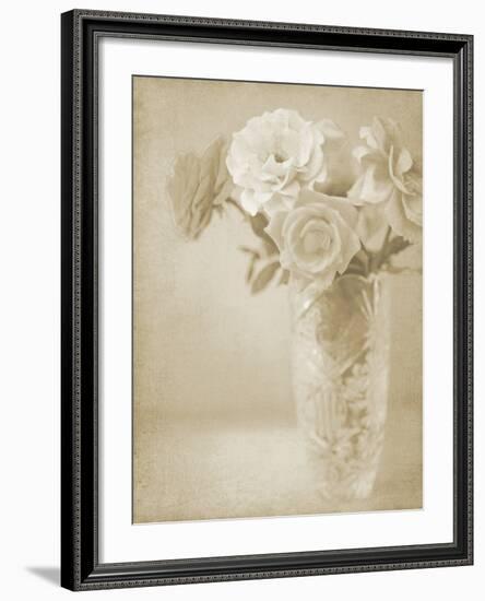 Soft Roses I-Shana Rae-Framed Giclee Print