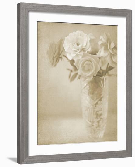 Soft Roses I-Shana Rae-Framed Giclee Print