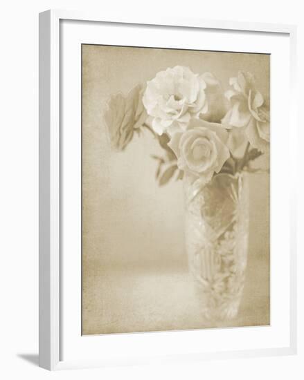 Soft Roses I-Shana Rae-Framed Giclee Print