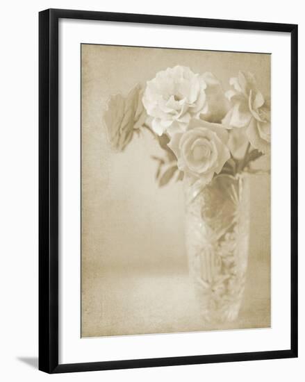 Soft Roses I-Shana Rae-Framed Giclee Print