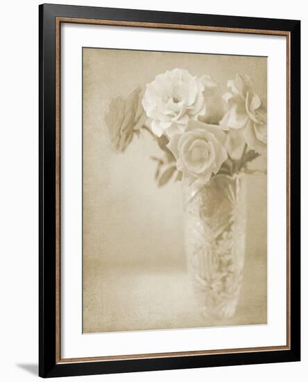 Soft Roses I-Shana Rae-Framed Giclee Print