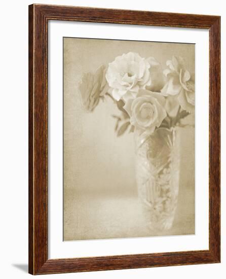 Soft Roses I-Shana Rae-Framed Giclee Print