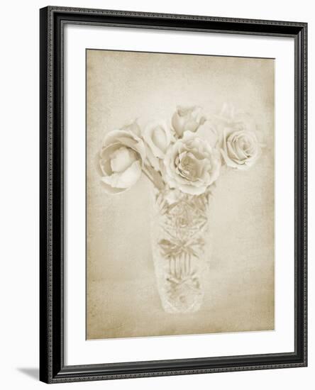 Soft Roses II-Shana Rae-Framed Giclee Print