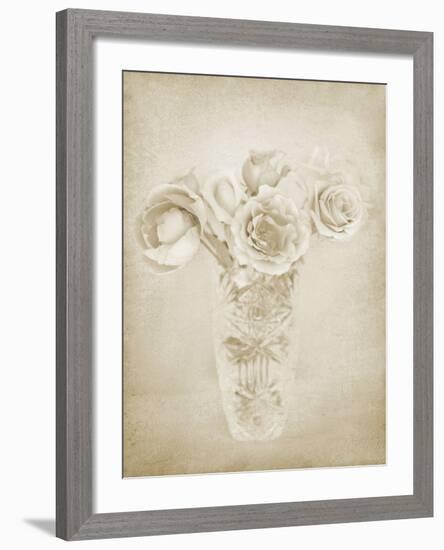 Soft Roses II-Shana Rae-Framed Giclee Print