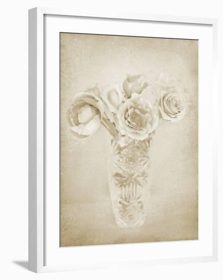Soft Roses II-Shana Rae-Framed Giclee Print