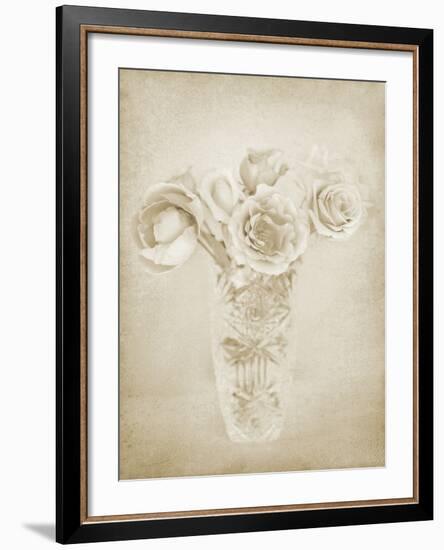 Soft Roses II-Shana Rae-Framed Giclee Print