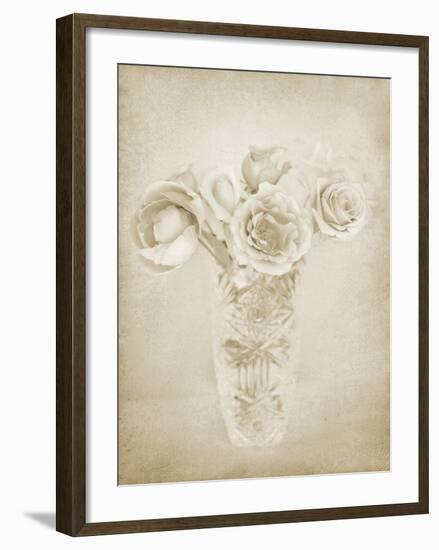 Soft Roses II-Shana Rae-Framed Giclee Print