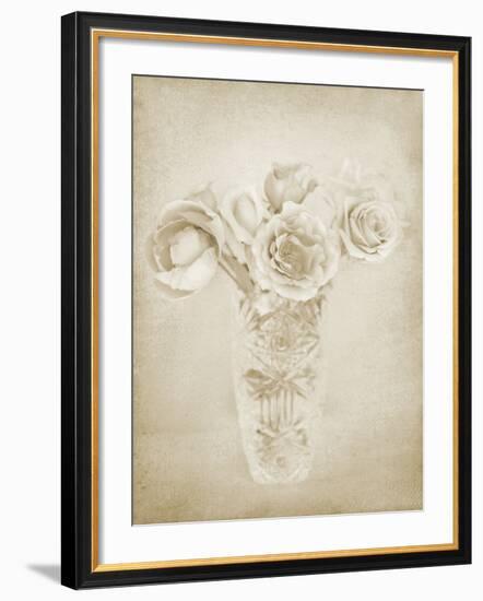 Soft Roses II-Shana Rae-Framed Giclee Print