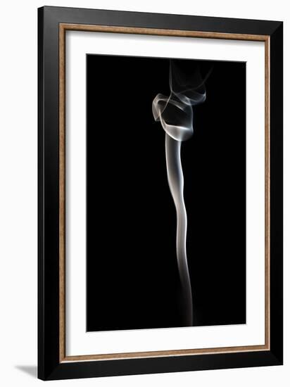 Soft Scent-Heidi Westum-Framed Photographic Print