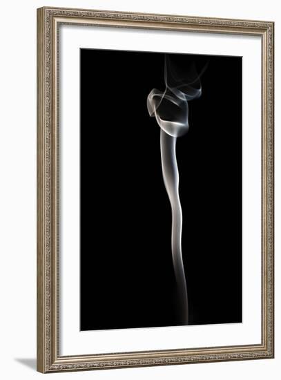 Soft Scent-Heidi Westum-Framed Photographic Print