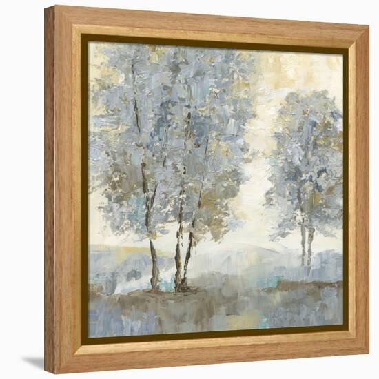 Soft Sentinel II-null-Framed Stretched Canvas