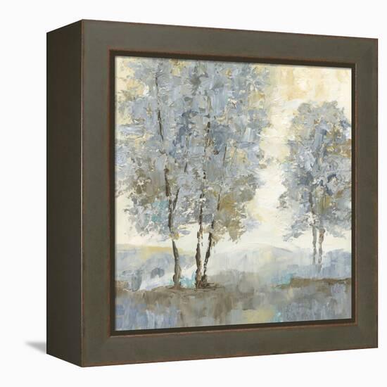 Soft Sentinel II-null-Framed Stretched Canvas