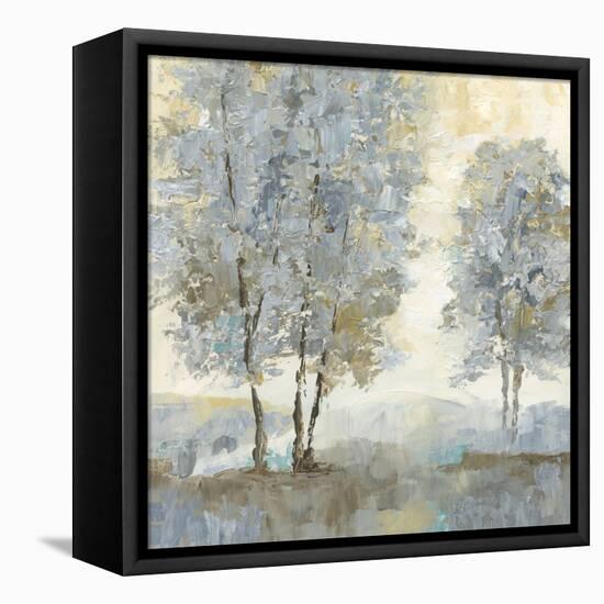 Soft Sentinel II-null-Framed Stretched Canvas