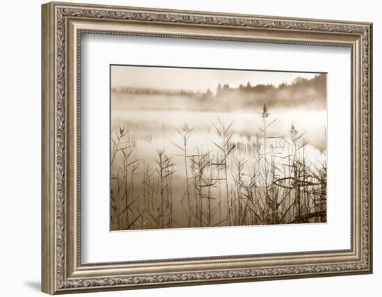 Soft Sepia Rise-Irene Weisz-Framed Photo