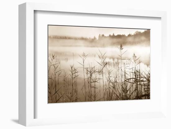 Soft Sepia Rise-Irene Weisz-Framed Photo