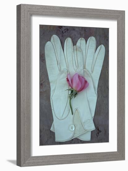 Soft Sophistication-Den Reader-Framed Photographic Print