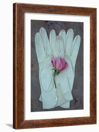 Soft Sophistication-Den Reader-Framed Photographic Print