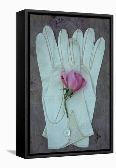 Soft Sophistication-Den Reader-Framed Premier Image Canvas