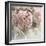 Soft Summer Hydrangea-Irene Weisz-Framed Photo