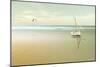 Soft Sunrise on the Beach 1-Carlos Casamayor-Mounted Giclee Print