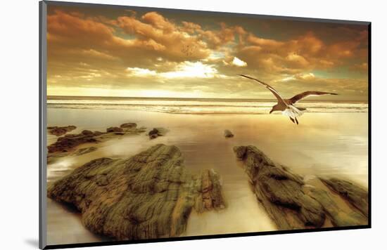 Soft Sunrise on the Beach 4-Carlos Casamayor-Mounted Art Print