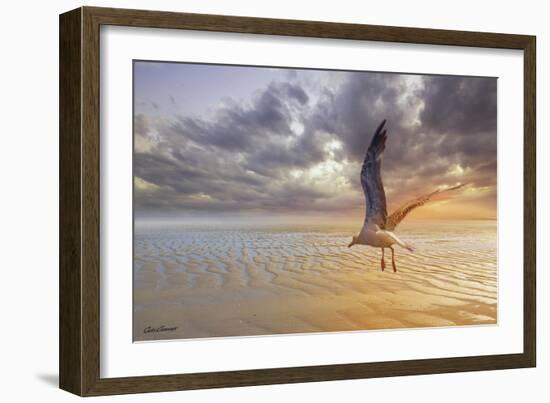 Soft Sunrise on the Beach 5-Carlos Casamayor-Framed Giclee Print