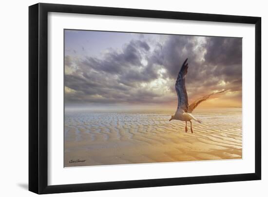 Soft Sunrise on the Beach 5-Carlos Casamayor-Framed Giclee Print