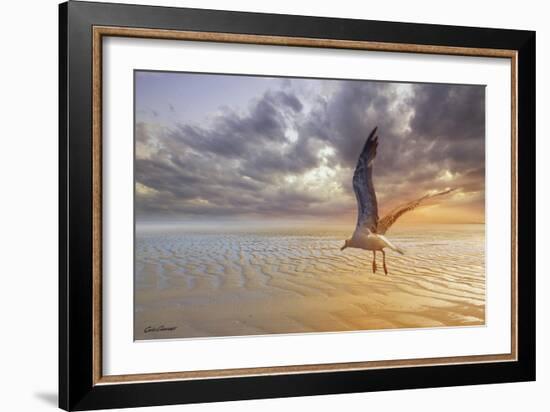 Soft Sunrise on the Beach 5-Carlos Casamayor-Framed Giclee Print