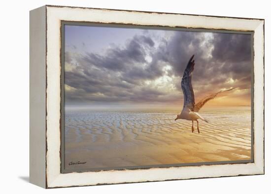 Soft Sunrise on the Beach 5-Carlos Casamayor-Framed Premier Image Canvas