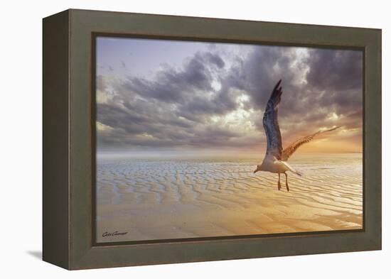 Soft Sunrise on the Beach 5-Carlos Casamayor-Framed Premier Image Canvas