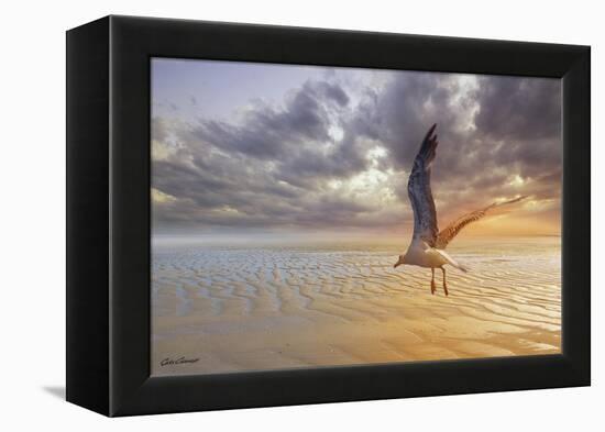 Soft Sunrise on the Beach 5-Carlos Casamayor-Framed Premier Image Canvas