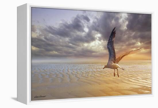 Soft Sunrise on the Beach 5-Carlos Casamayor-Framed Premier Image Canvas