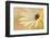 Soft Touch II-Heidi Westum-Framed Photographic Print