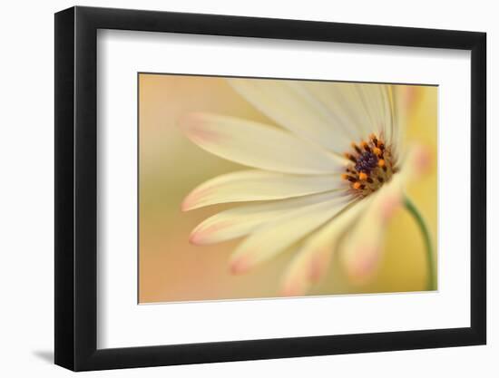 Soft Touch II-Heidi Westum-Framed Photographic Print