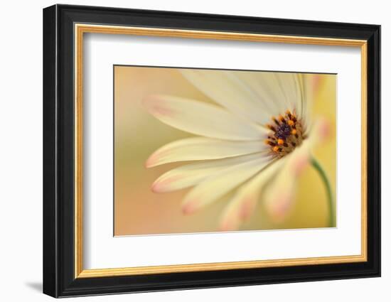 Soft Touch II-Heidi Westum-Framed Photographic Print