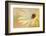 Soft Touch II-Heidi Westum-Framed Photographic Print