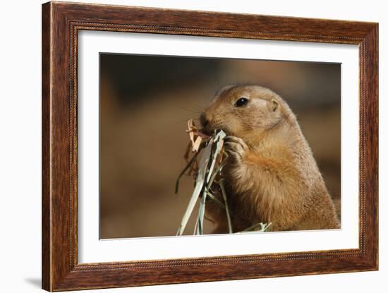 Soft Touch-Susann Parker-Framed Photographic Print