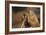 Soft Touch-Susann Parker-Framed Photographic Print