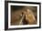 Soft Touch-Susann Parker-Framed Photographic Print