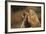 Soft Touch-Susann Parker-Framed Photographic Print