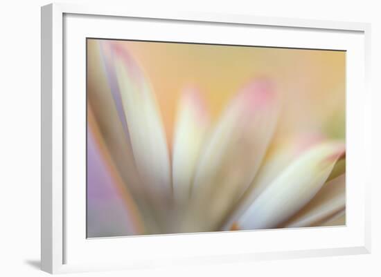 Soft Touch-Heidi Westum-Framed Photographic Print